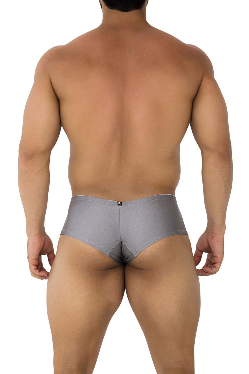 Xtremen 91180 Microfiber Trunks Silver